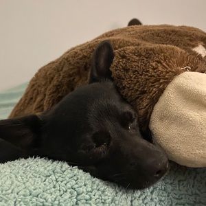 Meet your Posher, Jade